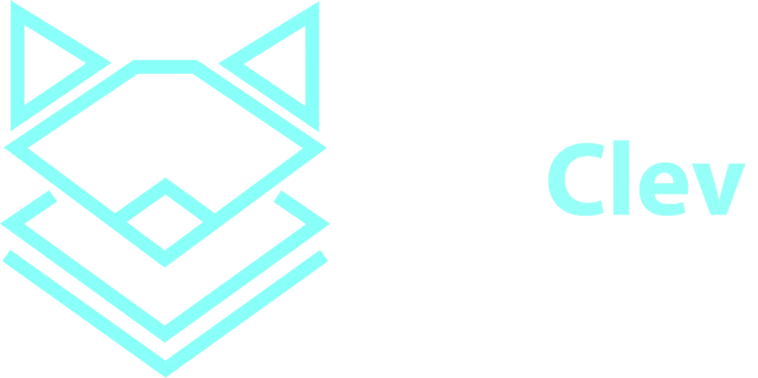 DigiClev Services